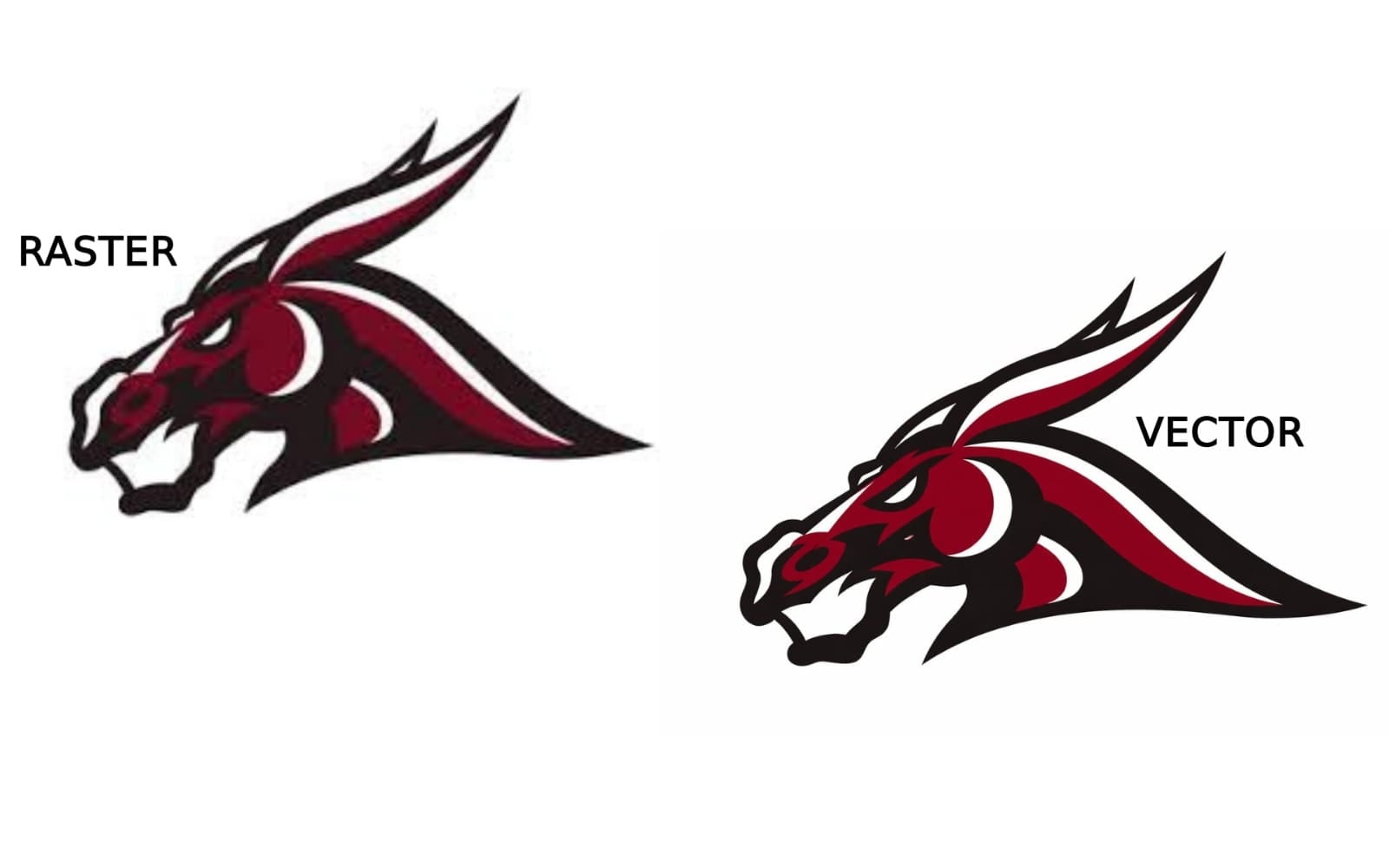 VECTOR TRACING digitizing